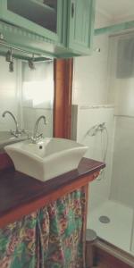 - Baño con lavabo blanco y ducha en Gîtes de Revirand en Sarras