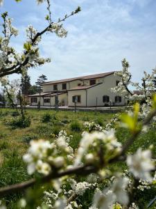 um edifício num campo com flores brancas em Tenuta Fasanarella em Battipaglia