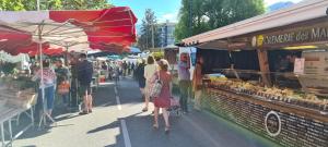 a group of people walking around an outdoor market at Pom'Verte-près du centre-ville et du lac -parking gratuit in Annecy