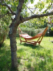 una hamaca colgando de un árbol en un patio en Ferienhaus Kranichhorst - Exklusiv-Nutzung mit großem Garten und Strandnähe en Bodstedt