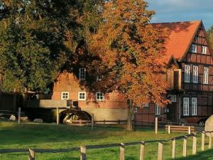 Bruchhausen-VilsenBruchmühlen的一栋房子前面有一棵树