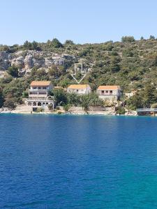 a group of houses on a hill next to a body of water at Veronika in Drvenik Veli