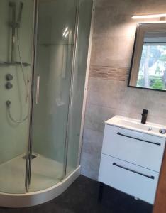 uma casa de banho com um chuveiro e um lavatório. em Les embruns em Saint-Philibert