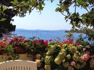 a view of the ocean from a garden with flowers at Sea View Room Macolic in Rab