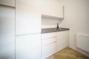 Kuchyňa alebo kuchynka v ubytovaní CEFAS Apartments