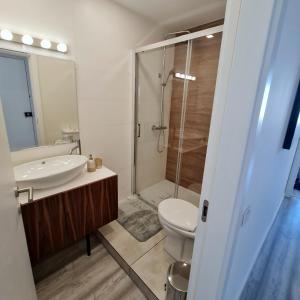 uma casa de banho com um lavatório, um WC e um chuveiro em S. Soares T3 Setúbal em Setúbal