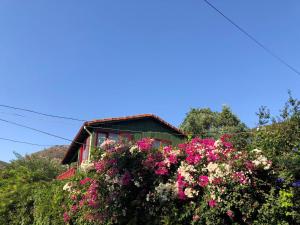 Fotografie z fotogalerie ubytování Cozy House With Balcony and Backyard Surrounded by Nature in Bodrum v destinaci Karabağ