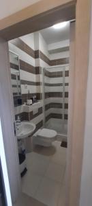 a bathroom with a toilet and a sink at Apartment Illyricum in Bol