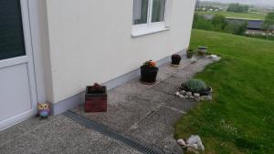 Zahrada ubytování Ferienwohnung Haus Graf