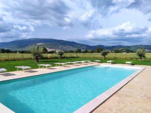 - une piscine avec des chaises longues et des tables dans un champ dans l'établissement Podere Le Volte degli Angeli, à Spello