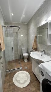 La salle de bains est pourvue d'une douche, de toilettes et d'un lavabo. dans l'établissement Nikolas House - ΤΟ ΣΠΙΤΙ ΤΟΥ ΝΙΚΟΛΑ, à Archea Pissa
