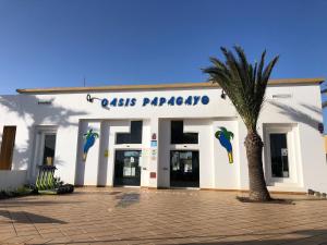 Zdjęcie z galerii obiektu Casa Molly w Corralejo