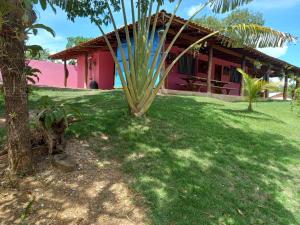 a house with a palm tree and a building at Guest House Recanto da Mata - BONITO - MS in Bonito