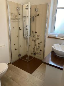 a bathroom with a shower with birds on the wall at Landhotel Beverland bei Münster in Ostbevern