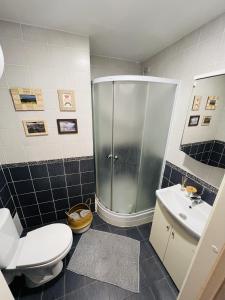 a bathroom with a shower and a toilet and a sink at Gilė in Juodkrantė +11 photos