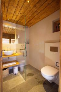 y baño con aseo y lavamanos. en Mountain Cabin Tschividains Lenzerheide, en Obervaz