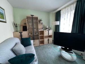 Televízia a/alebo spoločenská miestnosť v ubytovaní Hotel Zur Sonne