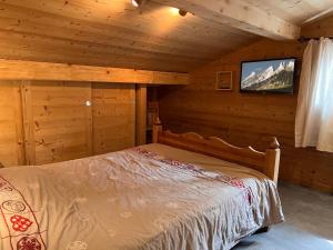 a bedroom with a bed and a tv in a cabin at Gentianes 4 - Appartement centre village in La Clusaz