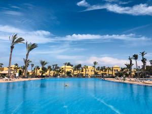 duży basen z palmami i budynkami w obiekcie Casa Molly w Corralejo