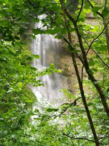 Paesaggio naturale nelle vicinanze dell'affittacamere