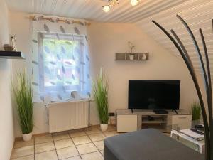 d'un salon avec une télévision à écran plat et des plantes dans l'établissement Apartments Rhona III und IV Neunkirchen City, à Neunkirchen