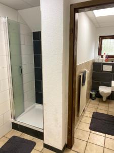 La salle de bains est pourvue d'une douche et de toilettes. dans l'établissement Apartments Rhona III und IV Neunkirchen City, à Neunkirchen