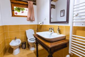 een badkamer met een wastafel en een toilet bij Chalet Giuel in Bărcuţ +52 foto's