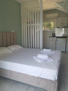 Posteľ alebo postele v izbe v ubytovaní Villa Lithitsa
