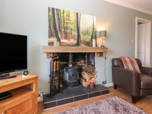 un soggiorno con camino e TV di Blue Skies Cottage ad Arbroath
