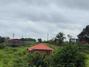 Giardino di MARS Jungle Adventure Stud Farm with Private Jacuzzi