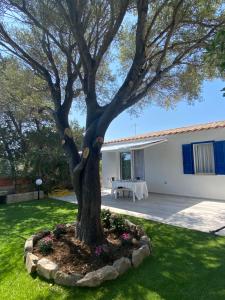 a tree in a yard in front of a house at La casa sull’acqua in Olbia