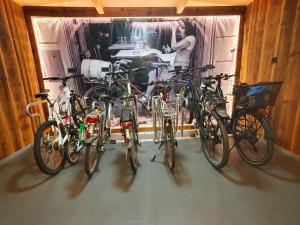 Rowery dostępne w obiekcie "Das Schlafzimmer" Erlebnis & Boutiquehotel - ehemals Hacienda Mexicana lub w pobliżu