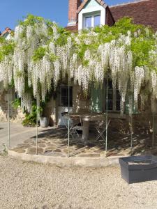 un arbre recouvert de fleurs blanches devant un bâtiment dans l'établissement Chambres d'hôtes, " au coeur de la nature, et du calme", à Descartes