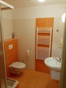a bathroom with a toilet and a sink at Apartmán v Lipně nad Vltavou 25 in Lipno nad Vltavou