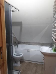 a bathroom with a toilet and a tub and a sink at dom drewniany pod lasem in Zatory +14 photos