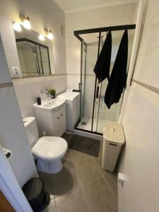 uma casa de banho com um WC, um lavatório e um chuveiro em Słoneczna kawalerka, 5 min od plaży em Gdańsk