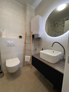 bagno con lavandino, servizi igienici e specchio di Apartmani CUBE L a Medulin
