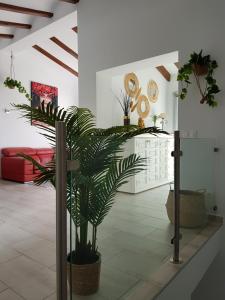 a living room with a palm tree in a room at La Trufa - modern, spacious home in Moraira with panoramic sea views in Moraira