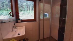 Foto dalla galleria di Appartement Zillertal Arena Zell am Ziller a Zell am Ziller
