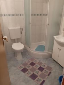 a bathroom with a shower and a toilet and a sink at Apartments Knežić in Igrane +109 photos