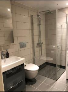 uma casa de banho com um chuveiro, um WC e um lavatório. em City Center Oslo- Venice Apartment Sea Side Three-Bedrooms and Two Toilettes em Oslo