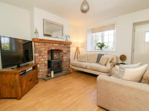 a living room with a fireplace and a tv at 5 Pond View Cottages in Brough