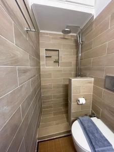 łazienka z toaletą i prysznicem w obiekcie Zoe Apartments No 6 , Hydra Island Greece w mieście Hydra +5 zdjęć