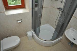 a bathroom with a shower and a toilet and a sink at Chalupa U Effoucha in Lipno nad Vltavou