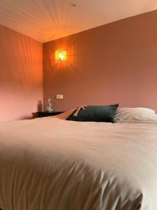 Un dormitorio con una gran cama blanca con una luz en la pared en Zwikker aan de Haven, en Lelystad