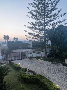 un parque con dos bancos y un árbol en Green Rooms - Marzamemi, en Pachino