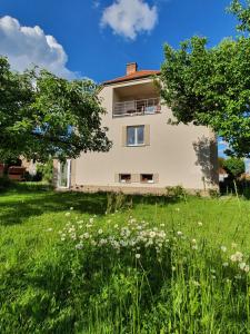 Vonkajšia záhrada v ubytovaní Cottage next Svihov castle