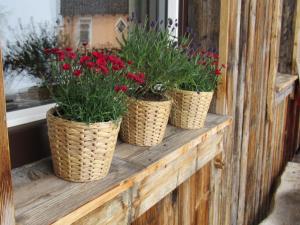 tres cestas con flores en el alféizar de la ventana en Steinerhaus Berggasthof, en Gröbming