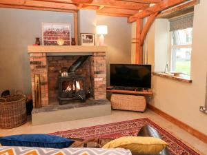 sala de estar con chimenea y TV en Lehane's Cottage, en Macroom