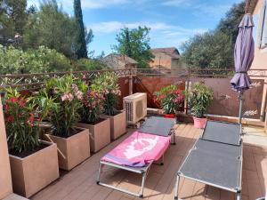 eine Terrasse mit 2 Stühlen, einem Sonnenschirm und Pflanzen in der Unterkunft Logement indépendant Au Bonheur cuisine piscine clim proche centre village #dentelles Montmirrail in Beaumes-de-Venise